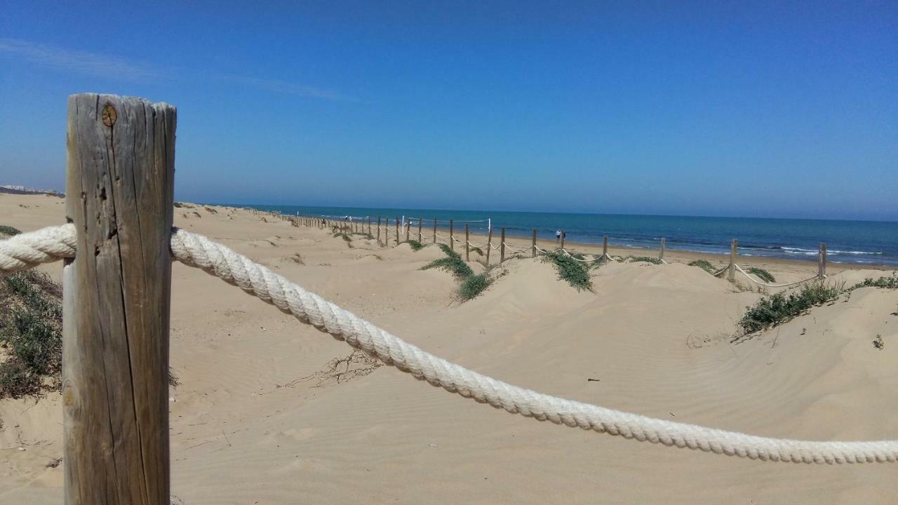 Studio Bellavista Apartament La Mata  Zewnętrze zdjęcie
