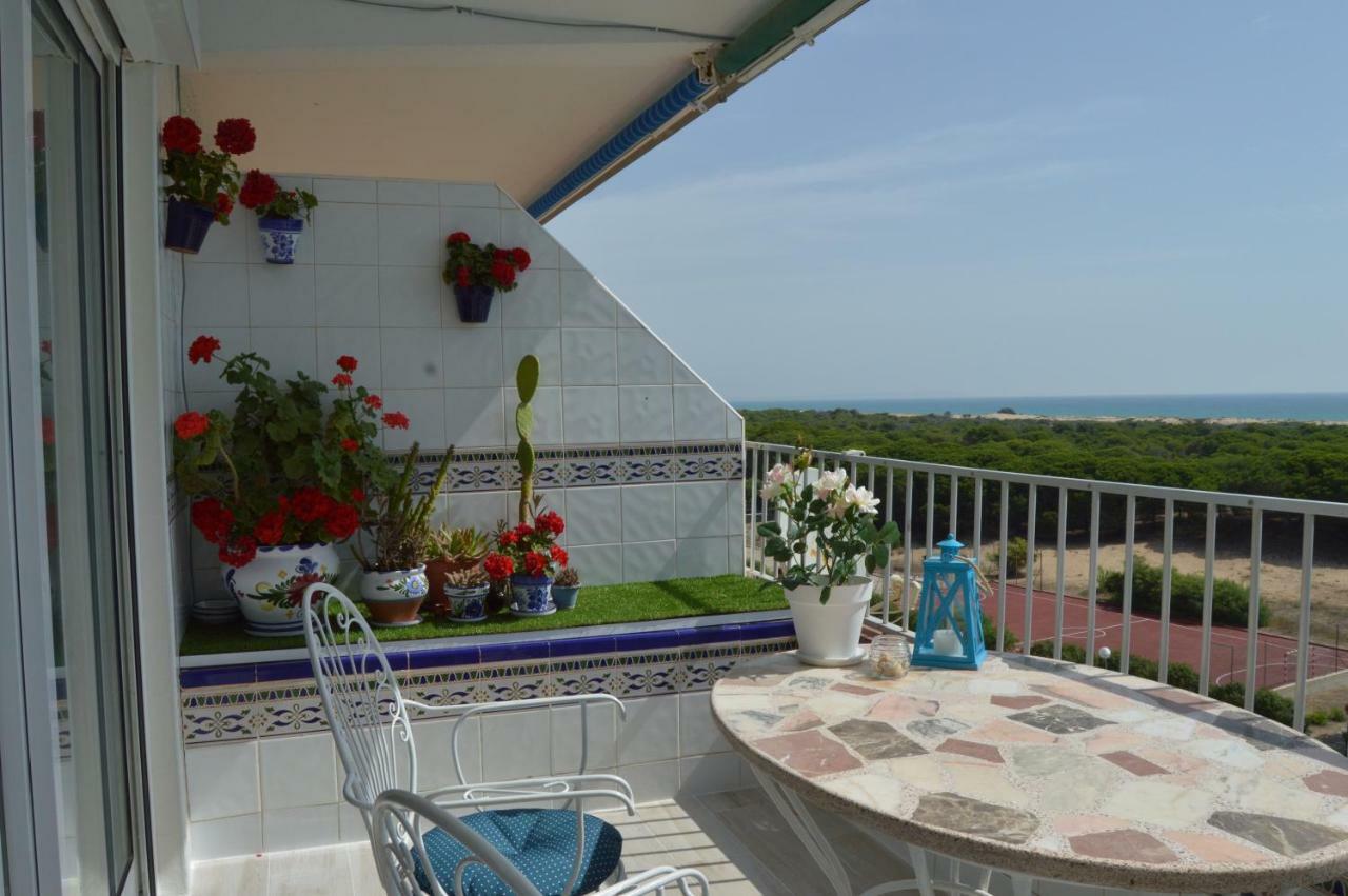 Studio Bellavista Apartament La Mata  Zewnętrze zdjęcie