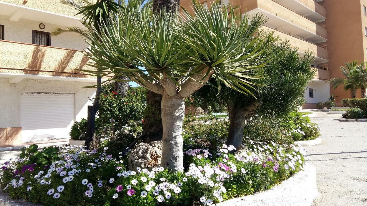 Studio Bellavista Apartament La Mata  Zewnętrze zdjęcie