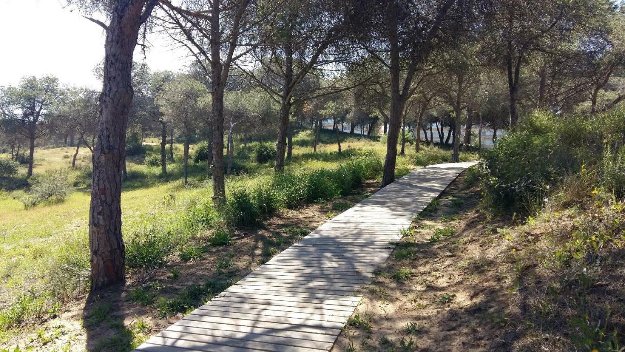 Studio Bellavista Apartament La Mata  Zewnętrze zdjęcie