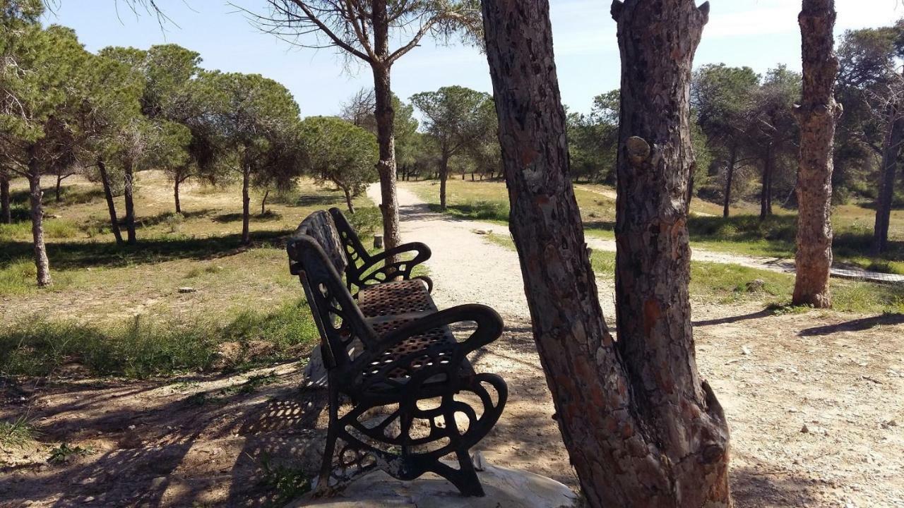 Studio Bellavista Apartament La Mata  Zewnętrze zdjęcie